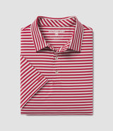 Sarasota Stripe Polo - Tide